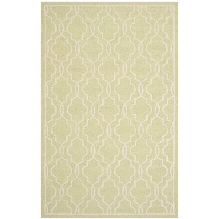 SAFAVIEH Cambridge CAM131B Light Green / Ivory Rug Image 10