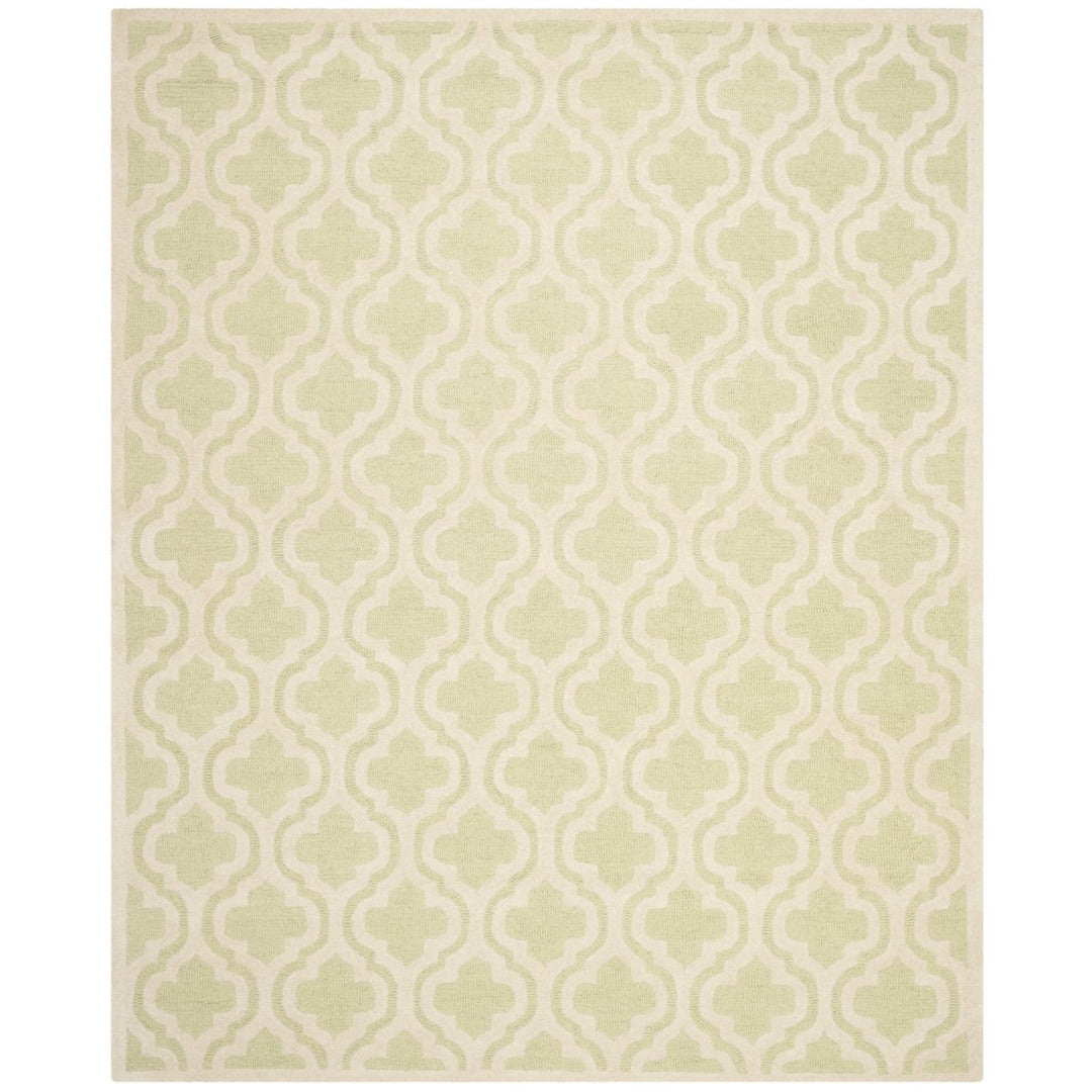 SAFAVIEH Cambridge CAM132B Light Green / Ivory Rug Image 1