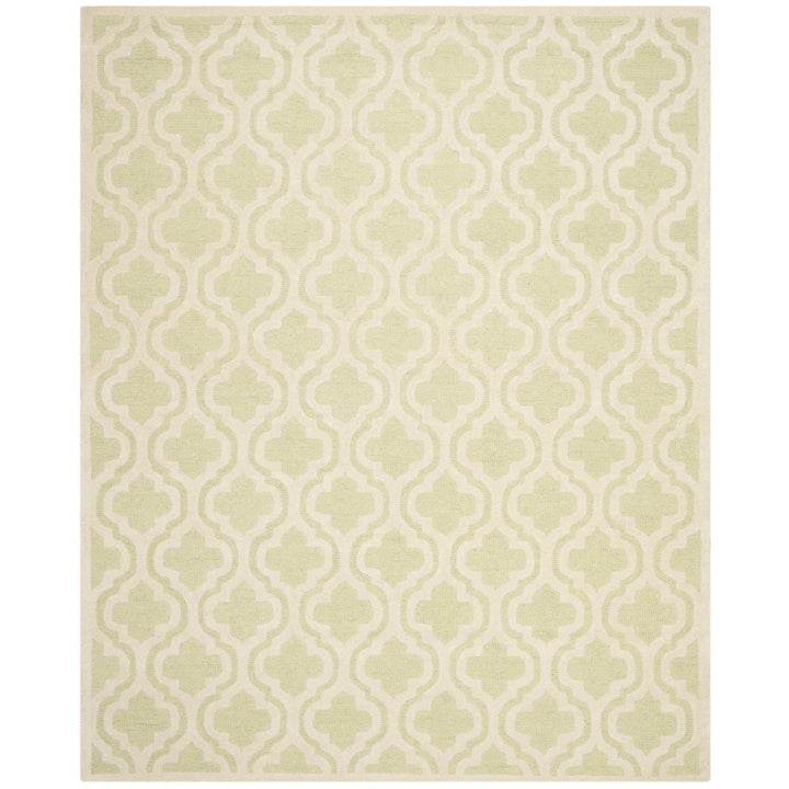 SAFAVIEH Cambridge CAM132B Light Green / Ivory Rug Image 1