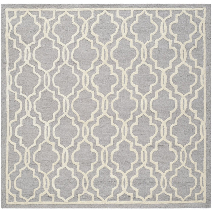 SAFAVIEH Cambridge CAM131D Handmade Silver /Ivory Rug Image 6