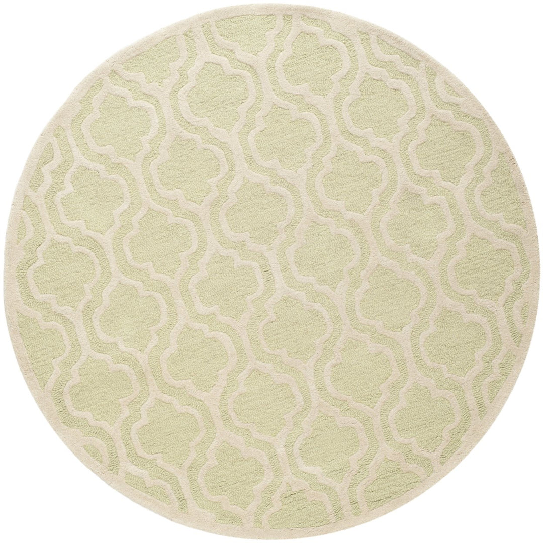 SAFAVIEH Cambridge CAM132B Light Green / Ivory Rug Image 4