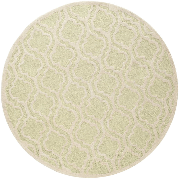 SAFAVIEH Cambridge CAM132B Light Green / Ivory Rug Image 4