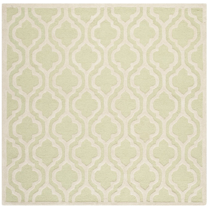 SAFAVIEH Cambridge CAM132B Light Green / Ivory Rug Image 6