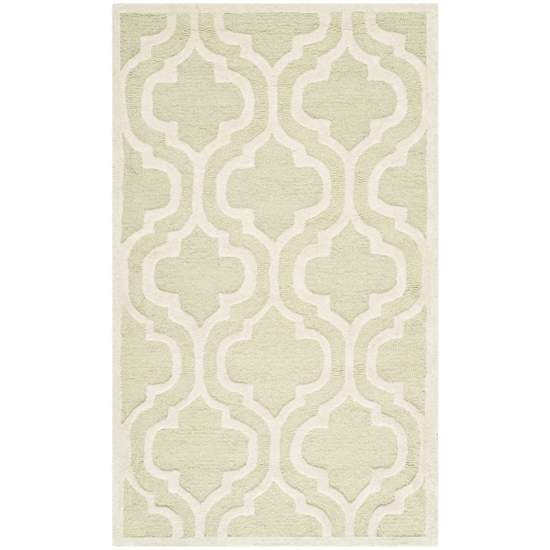 SAFAVIEH Cambridge CAM132B Light Green / Ivory Rug Image 8