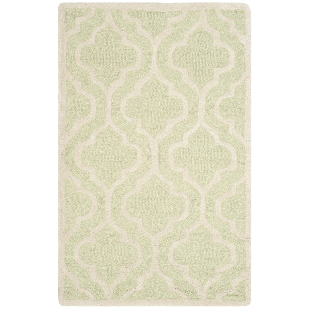 SAFAVIEH Cambridge CAM132B Light Green / Ivory Rug Image 9