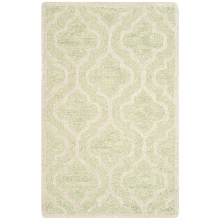 SAFAVIEH Cambridge CAM132B Light Green / Ivory Rug Image 9