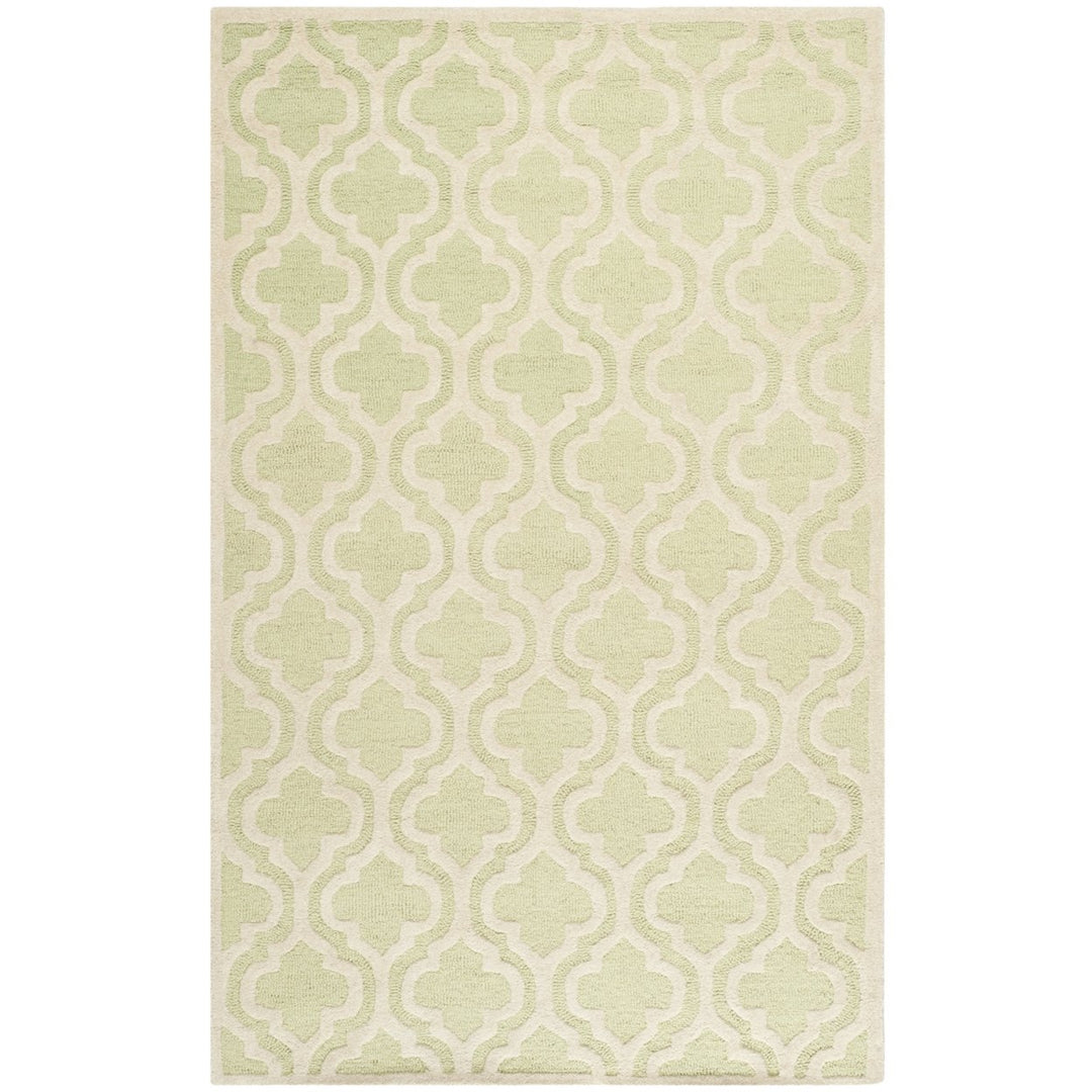 SAFAVIEH Cambridge CAM132B Light Green / Ivory Rug Image 10