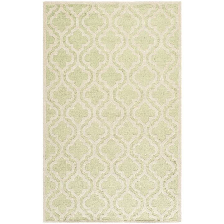 SAFAVIEH Cambridge CAM132B Light Green / Ivory Rug Image 10