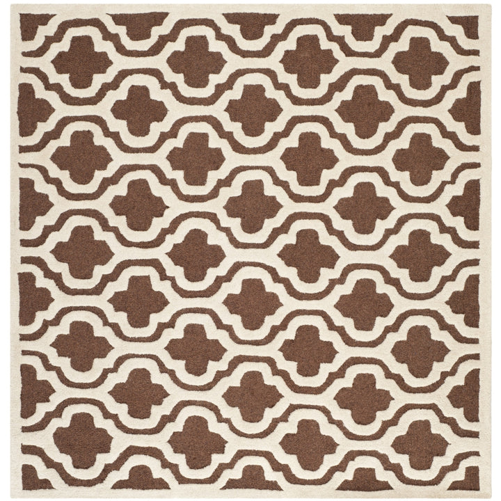 SAFAVIEH Cambridge CAM132H Dark Brown / Ivory Rug Image 6