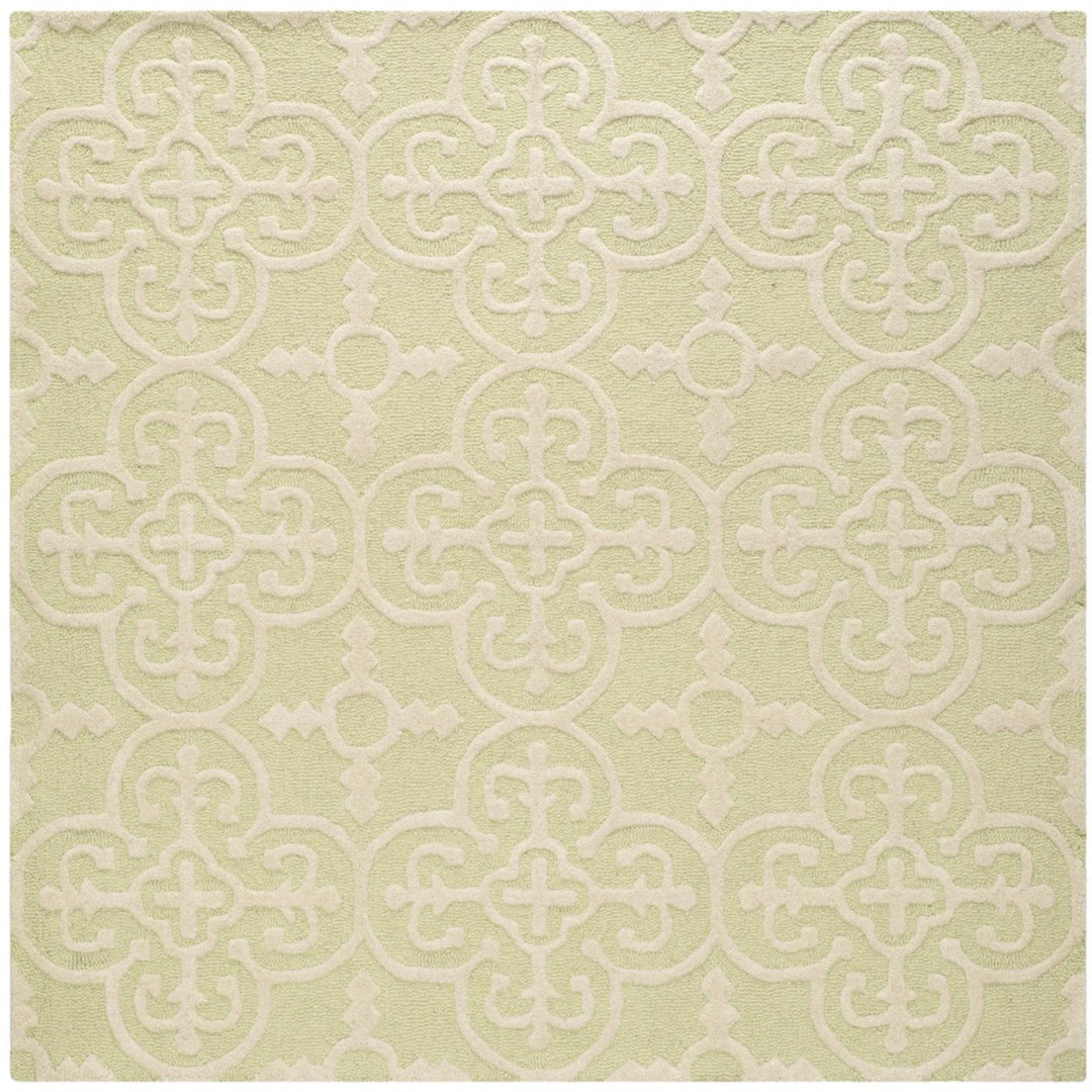 SAFAVIEH Cambridge CAM133B Light Green / Ivory Rug Image 1