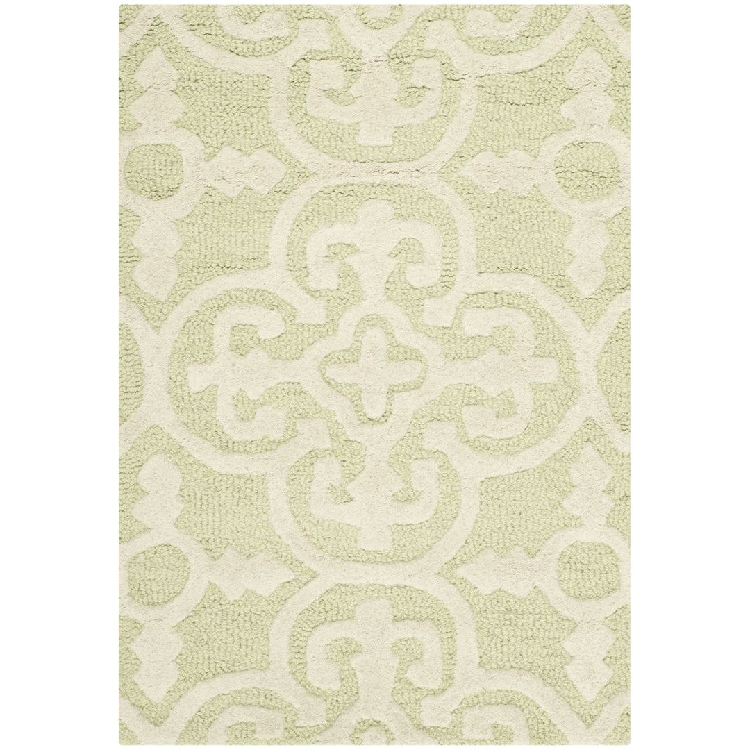 SAFAVIEH Cambridge CAM133B Light Green / Ivory Rug Image 8