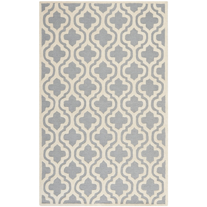 SAFAVIEH Cambridge CAM132D Handmade Silver /Ivory Rug Image 10