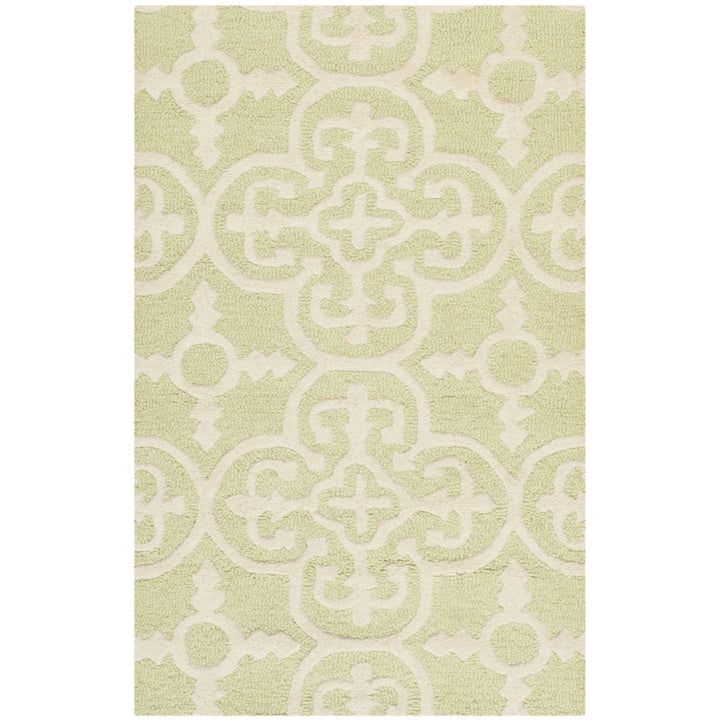 SAFAVIEH Cambridge CAM133B Light Green / Ivory Rug Image 9