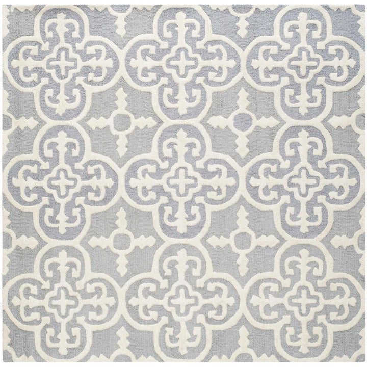 SAFAVIEH Cambridge CAM133D Handmade Silver /Ivory Rug Image 6