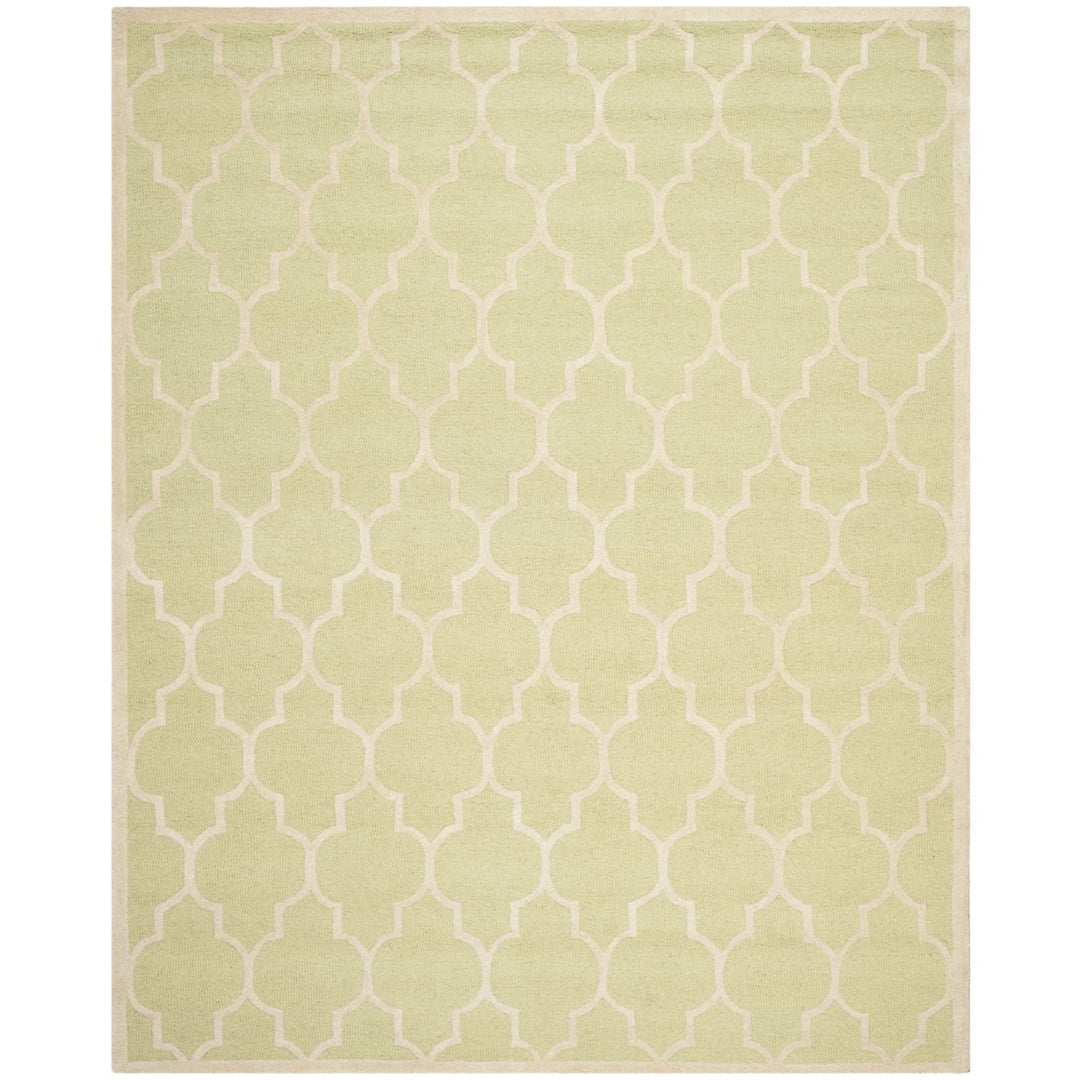 SAFAVIEH Cambridge CAM134B Light Green / Ivory Rug Image 1