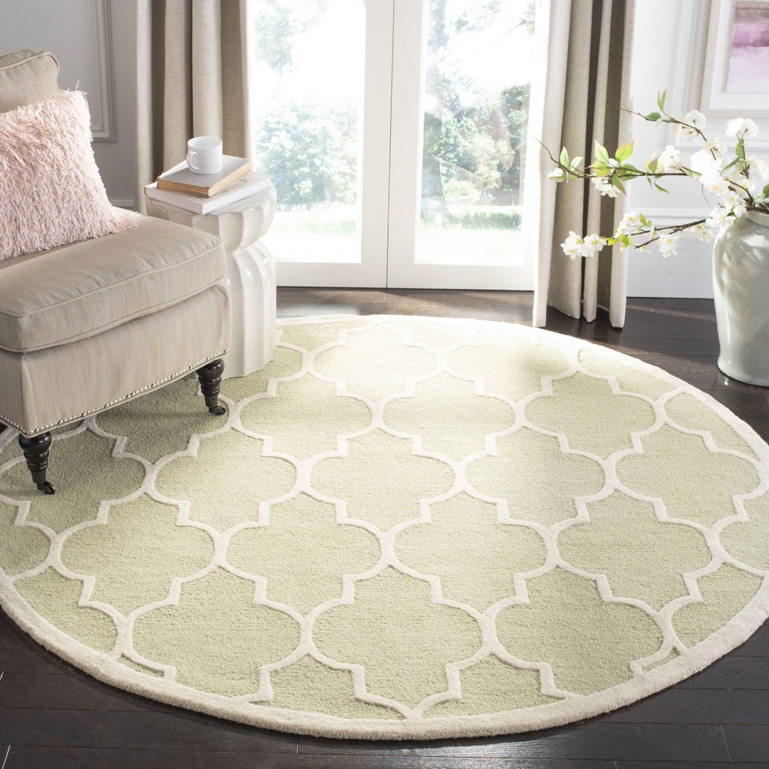 SAFAVIEH Cambridge CAM134B Light Green / Ivory Rug Image 2