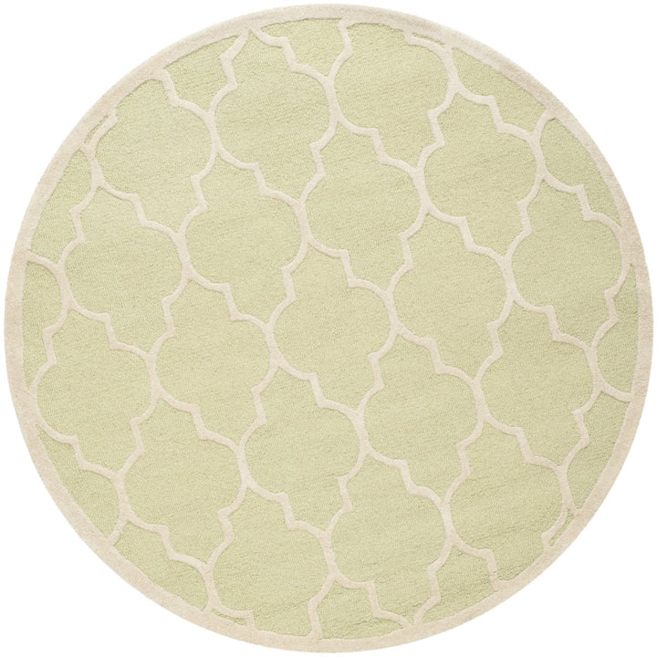 SAFAVIEH Cambridge CAM134B Light Green / Ivory Rug Image 4