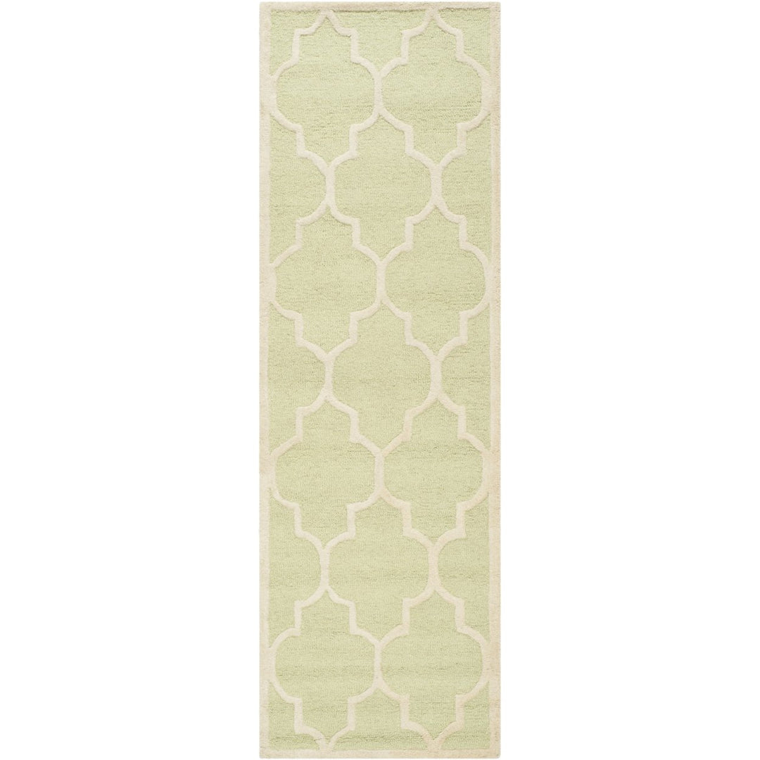 SAFAVIEH Cambridge CAM134B Light Green / Ivory Rug Image 5