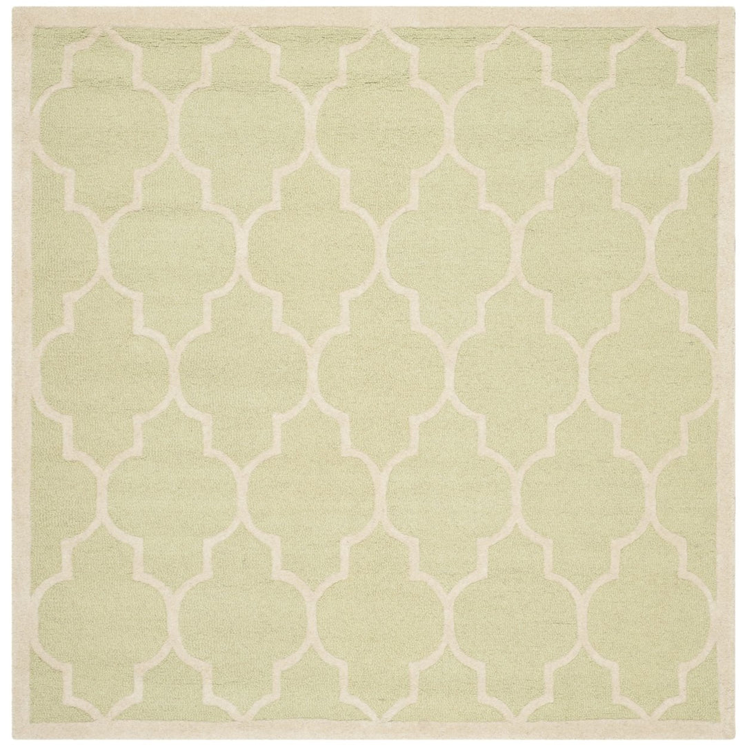 SAFAVIEH Cambridge CAM134B Light Green / Ivory Rug Image 6