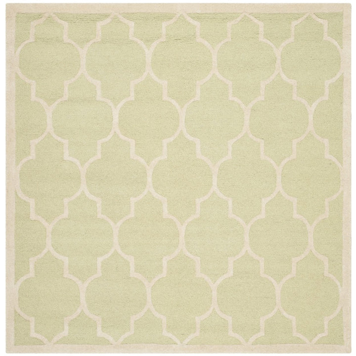 SAFAVIEH Cambridge CAM134B Light Green / Ivory Rug Image 6