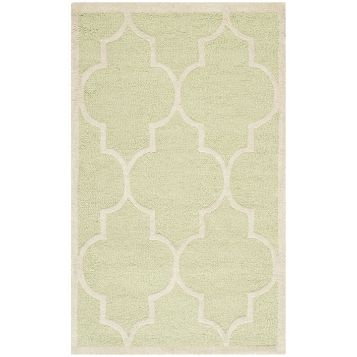 SAFAVIEH Cambridge CAM134B Light Green / Ivory Rug Image 8