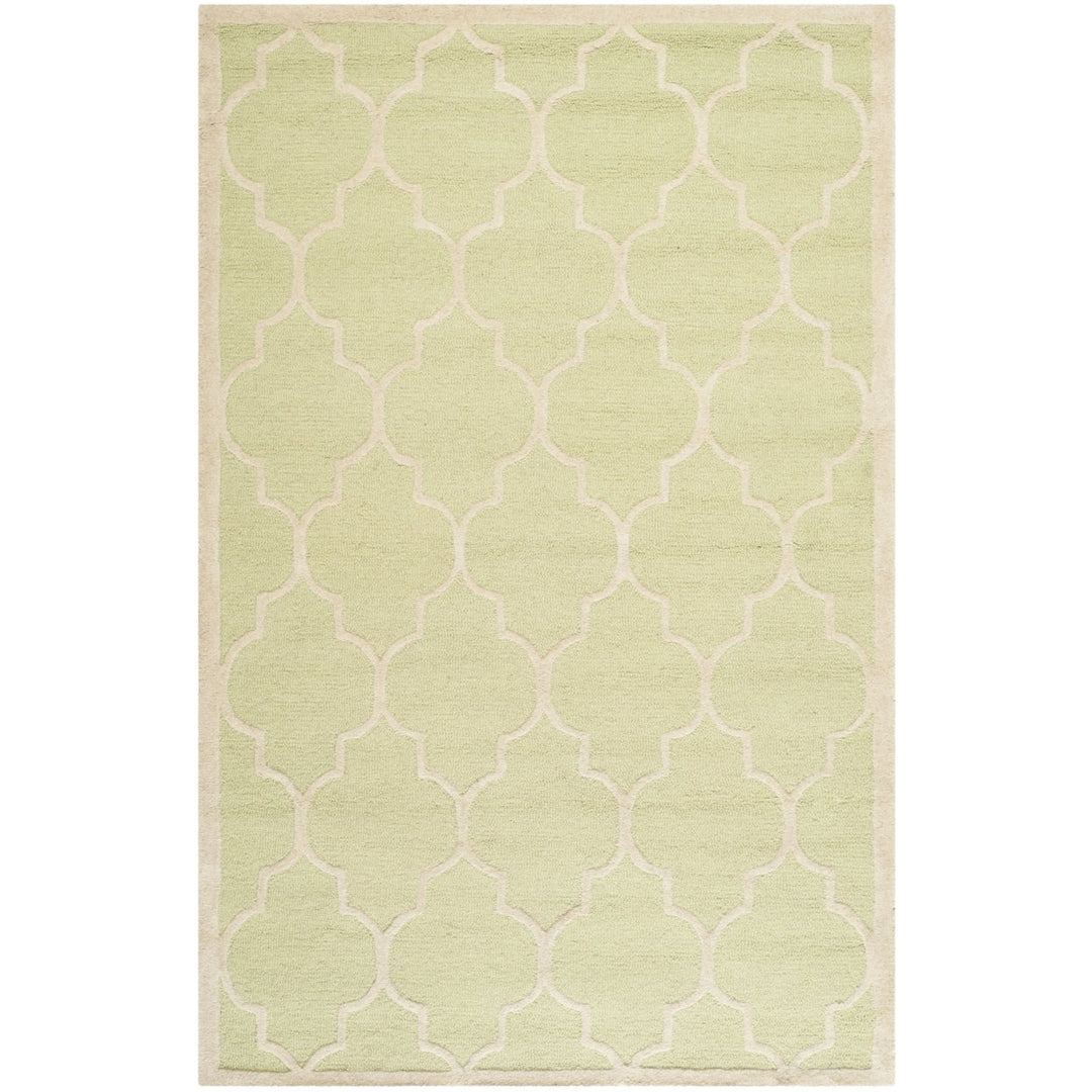 SAFAVIEH Cambridge CAM134B Light Green / Ivory Rug Image 10