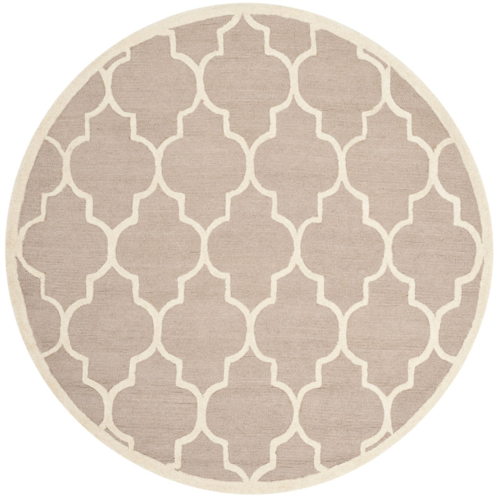 SAFAVIEH Cambridge CAM134J Handmade Beige / Ivory Rug Image 2