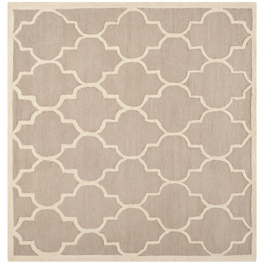 SAFAVIEH Cambridge CAM134J Handmade Beige / Ivory Rug Image 9