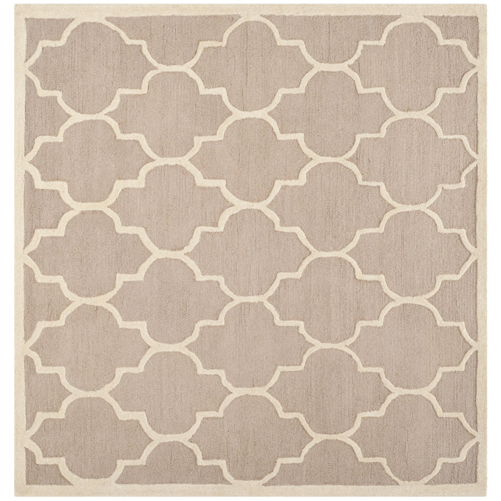 SAFAVIEH Cambridge CAM134J Handmade Beige / Ivory Rug Image 9