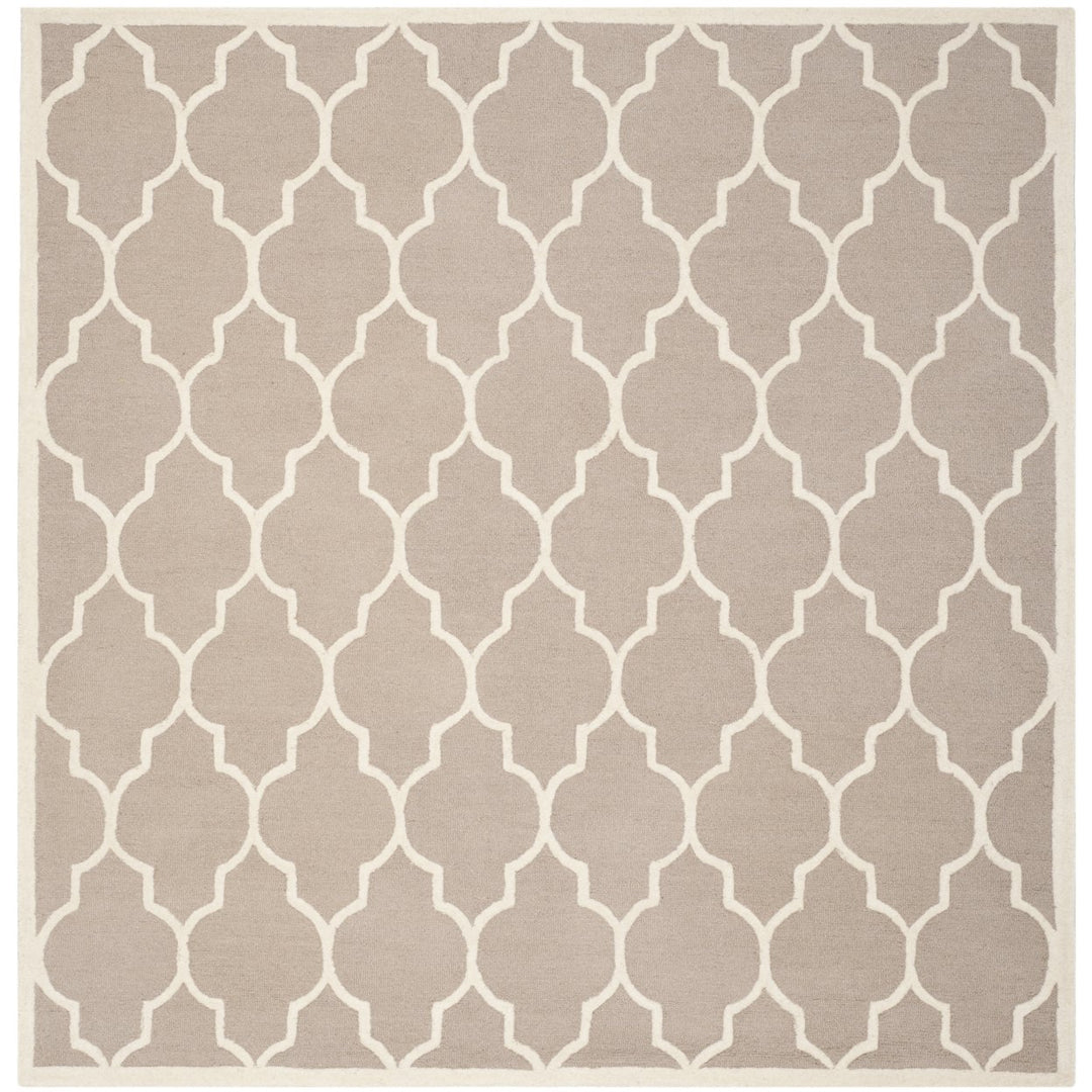 SAFAVIEH Cambridge CAM134J Handmade Beige / Ivory Rug Image 10