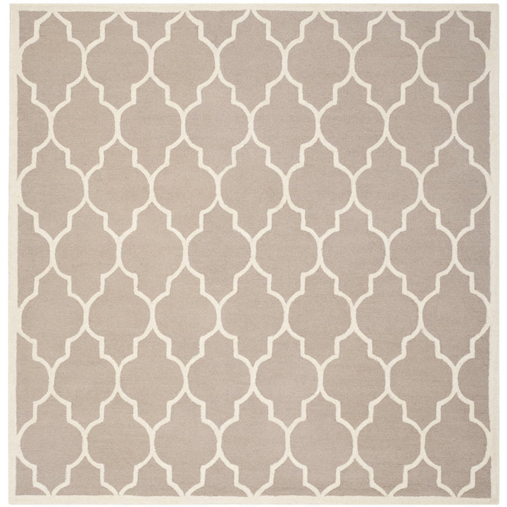 SAFAVIEH Cambridge CAM134J Handmade Beige / Ivory Rug Image 10