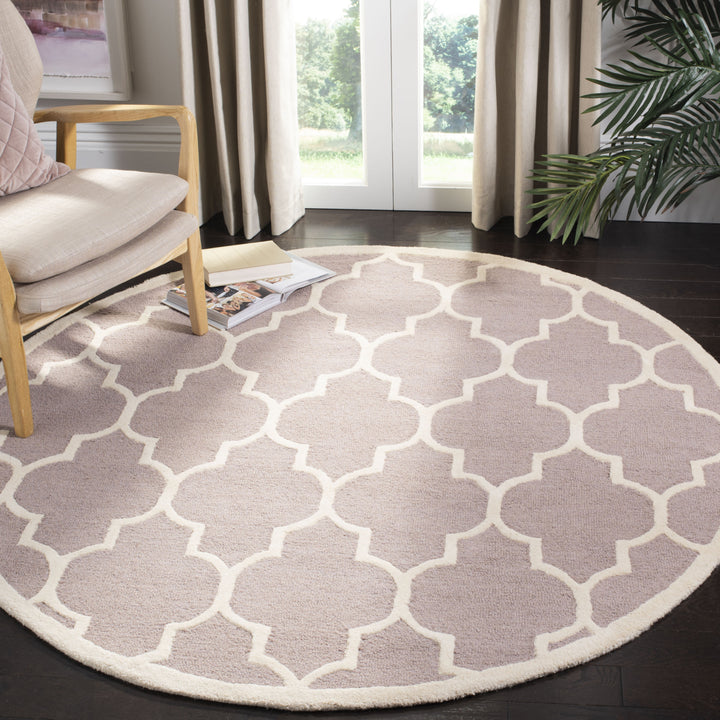 SAFAVIEH Cambridge CAM134J Handmade Beige / Ivory Rug Image 11