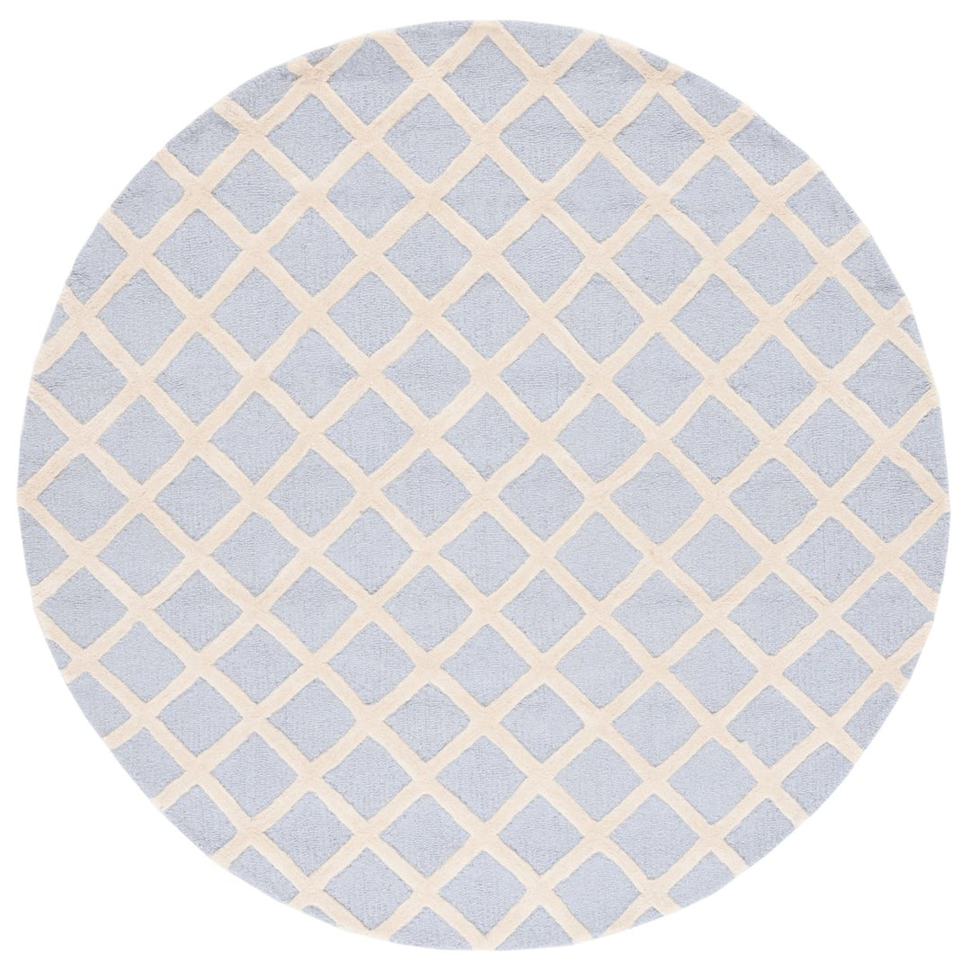 SAFAVIEH Cambridge CAM135A Light Blue / Ivory Rug Image 1