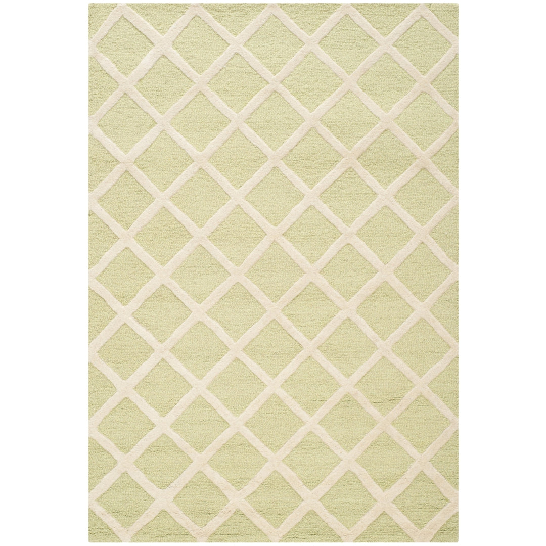 SAFAVIEH Cambridge CAM135B Light Green / Ivory Rug Image 4