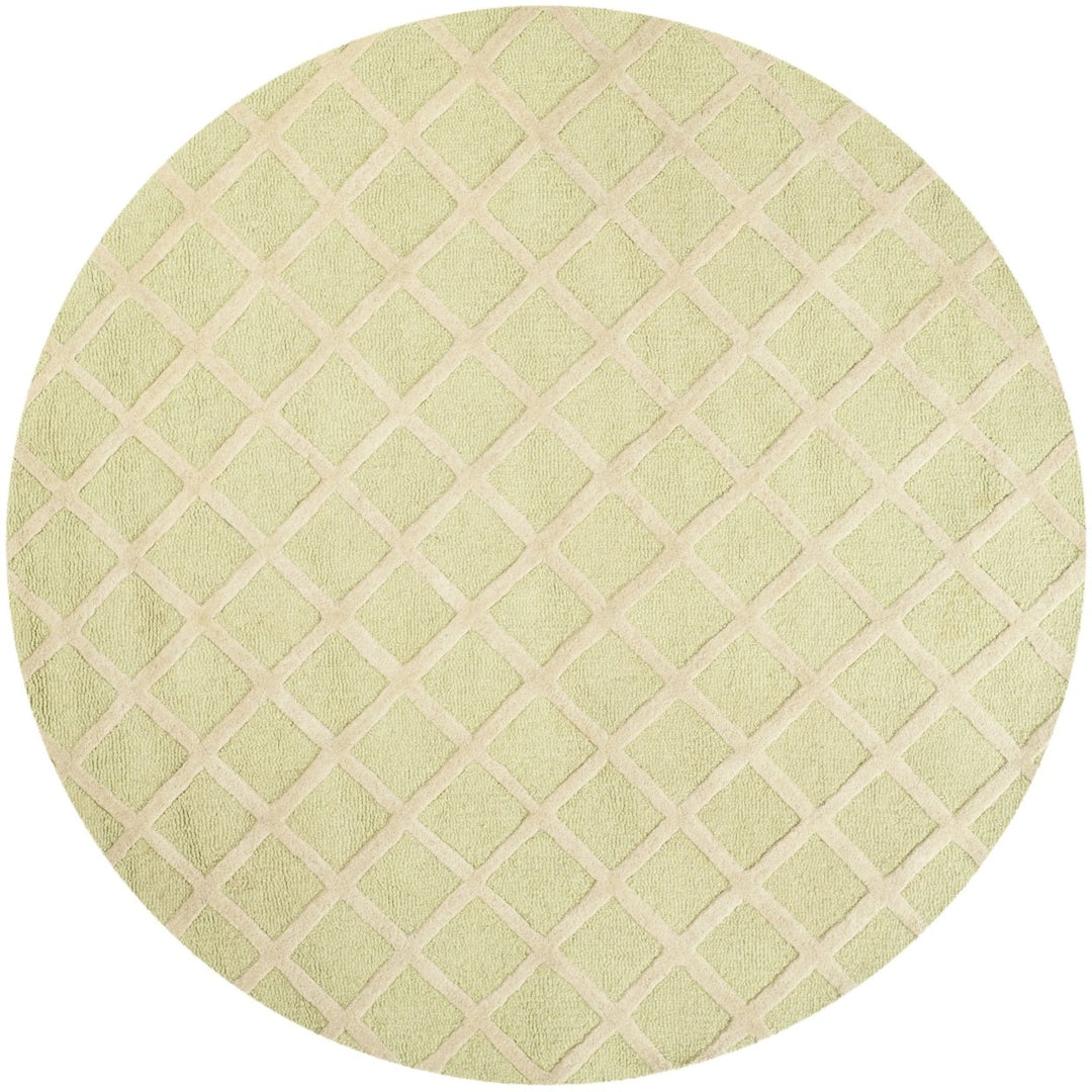 SAFAVIEH Cambridge CAM135B Light Green / Ivory Rug Image 7