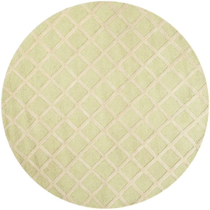 SAFAVIEH Cambridge CAM135B Light Green / Ivory Rug Image 7