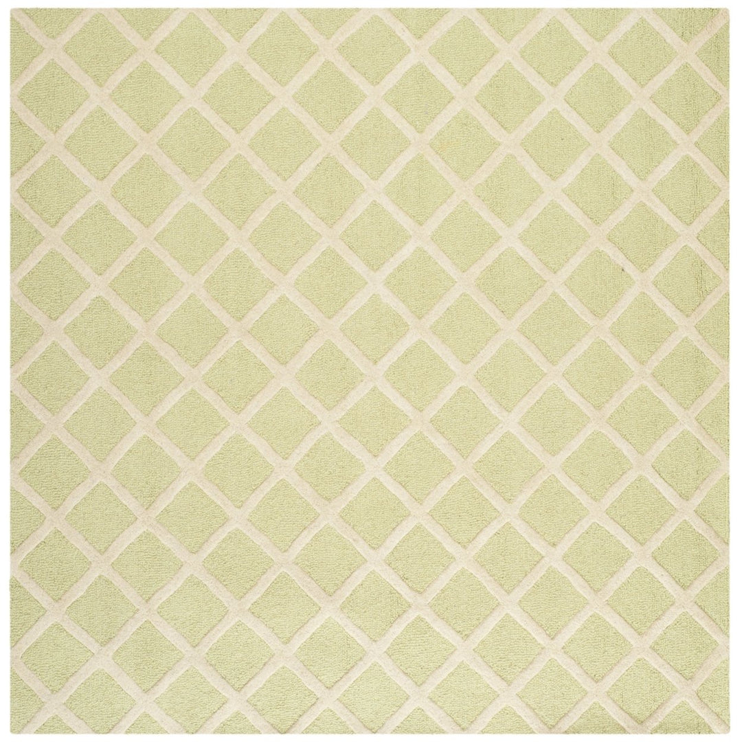 SAFAVIEH Cambridge CAM135B Light Green / Ivory Rug Image 8