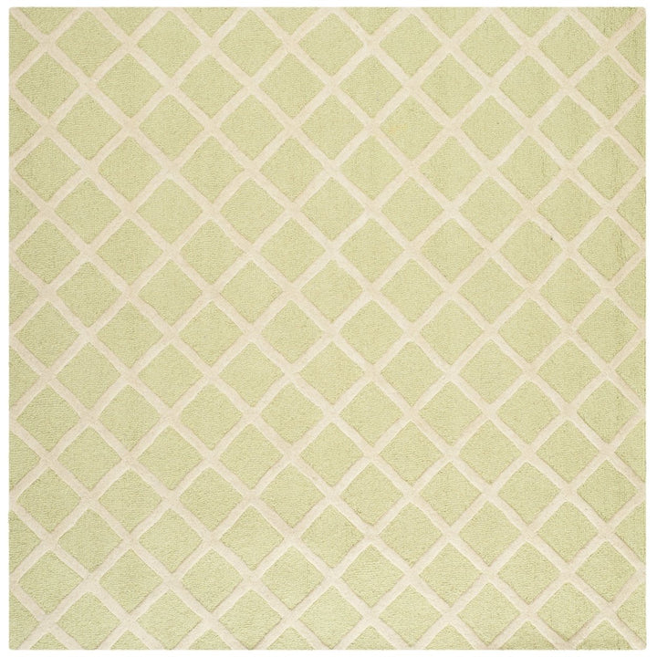 SAFAVIEH Cambridge CAM135B Light Green / Ivory Rug Image 8