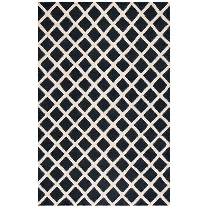 SAFAVIEH Cambridge CAM135E Handmade Black / Ivory Rug Image 5