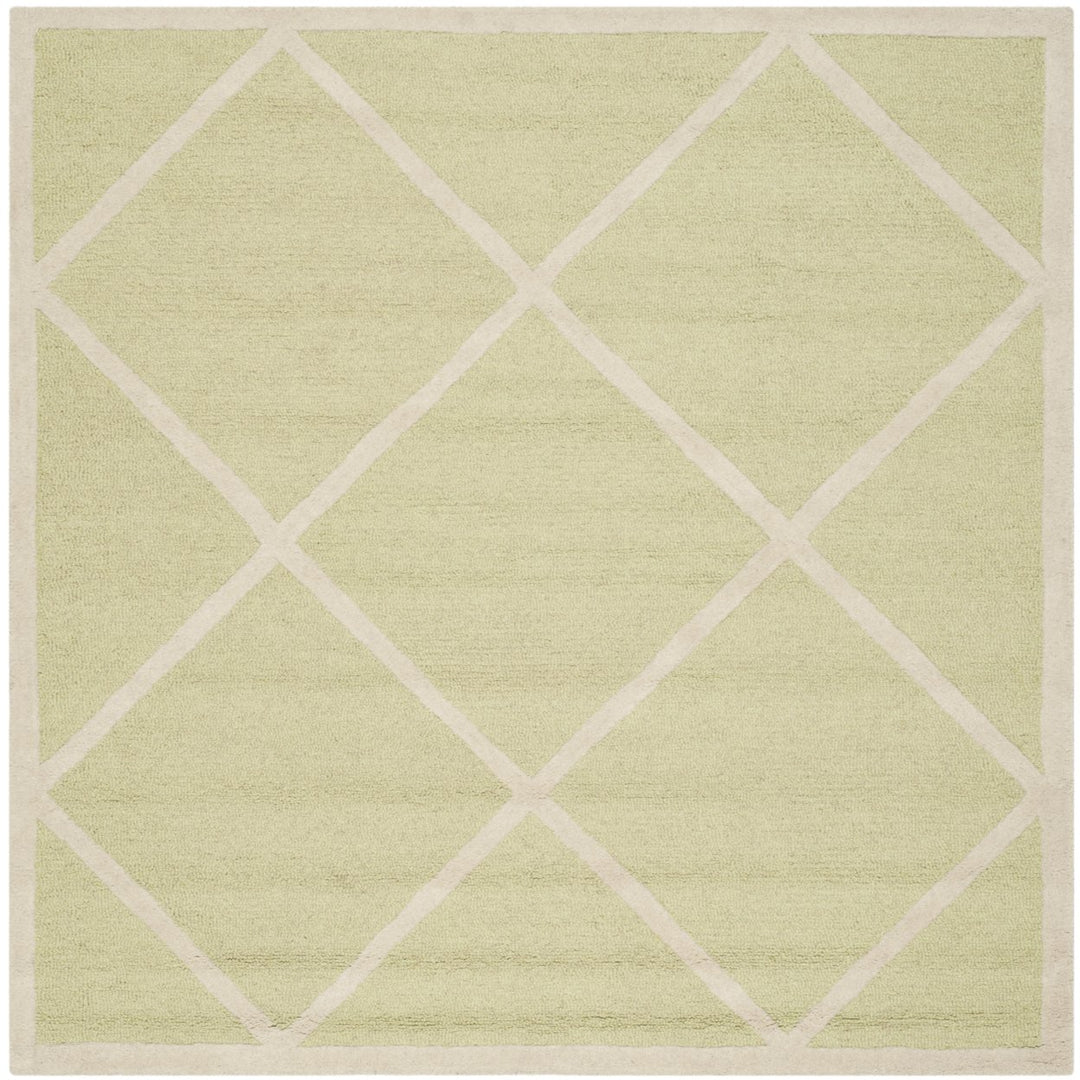 SAFAVIEH Cambridge CAM136B Light Green / Ivory Rug Image 6