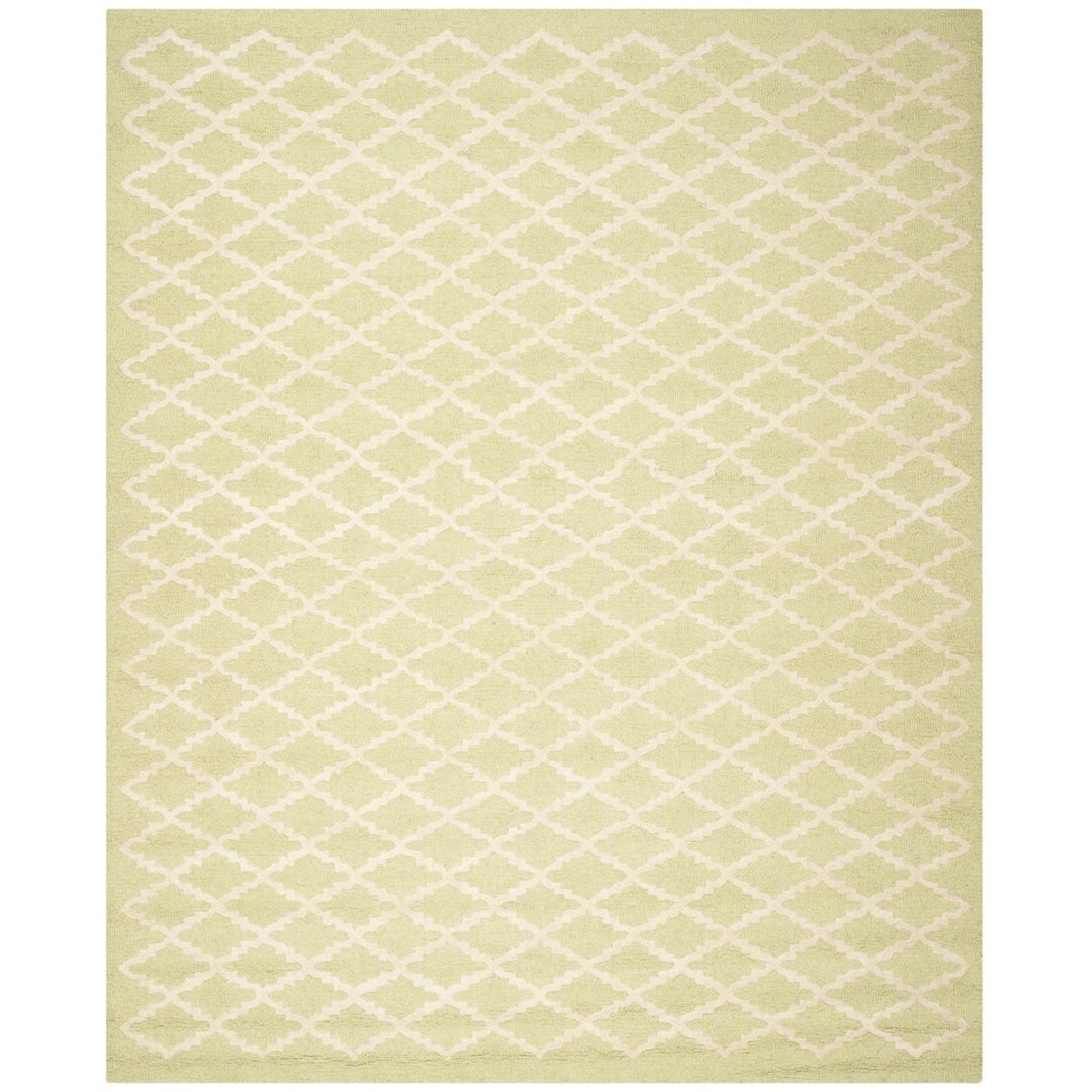 SAFAVIEH Cambridge CAM137B Light Green / Ivory Rug Image 1