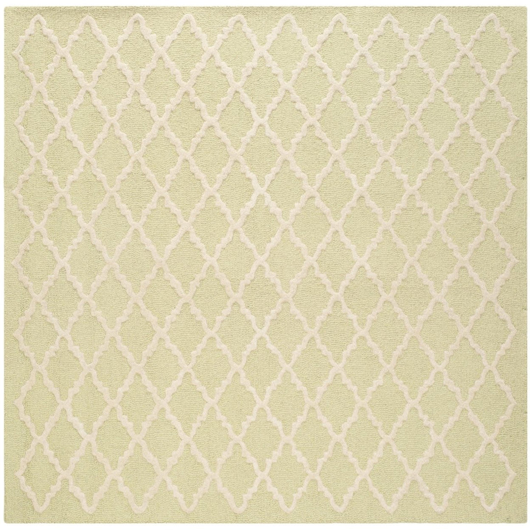 SAFAVIEH Cambridge CAM137B Light Green / Ivory Rug Image 6