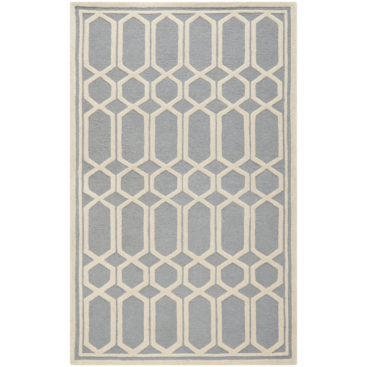 SAFAVIEH Cambridge CAM138D Handmade Silver /Ivory Rug Image 1