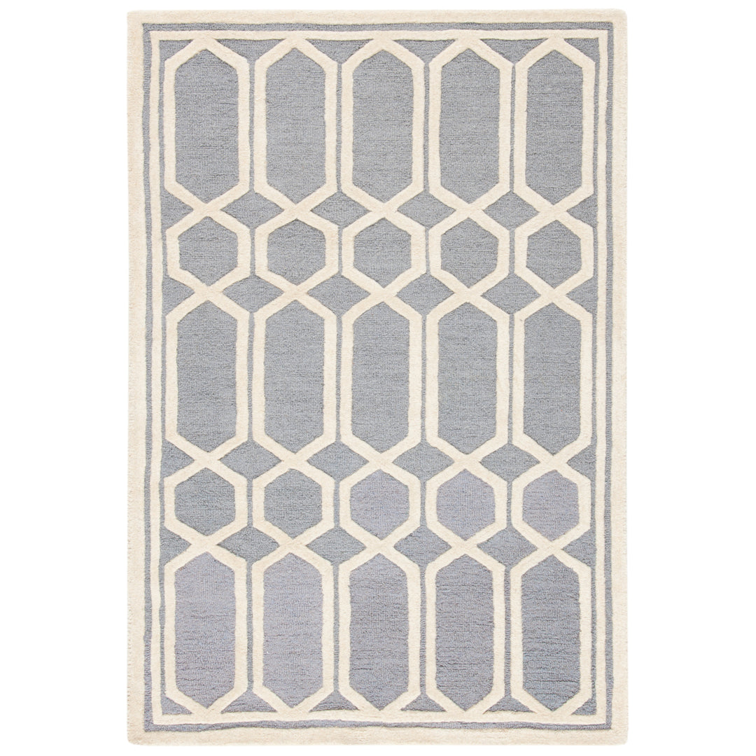 SAFAVIEH Cambridge CAM138D Handmade Silver /Ivory Rug Image 9