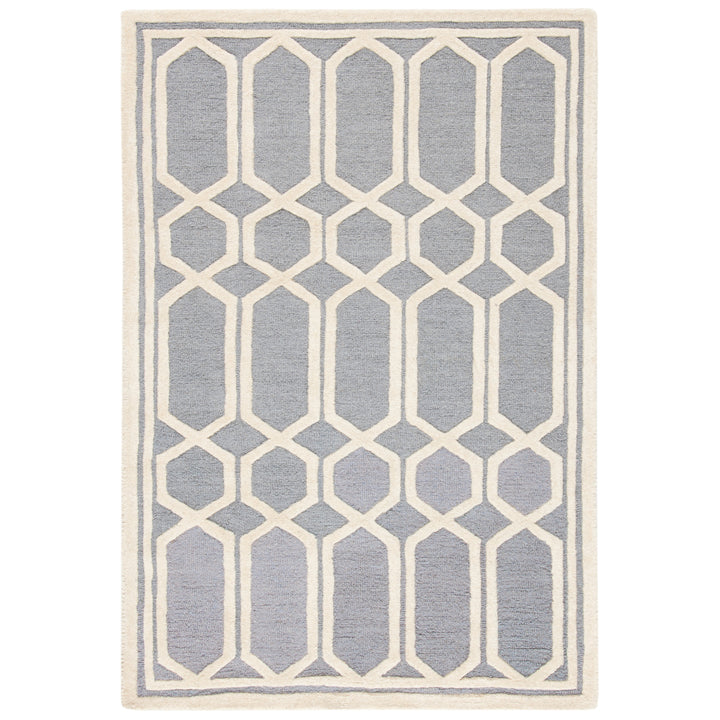 SAFAVIEH Cambridge CAM138D Handmade Silver /Ivory Rug Image 9