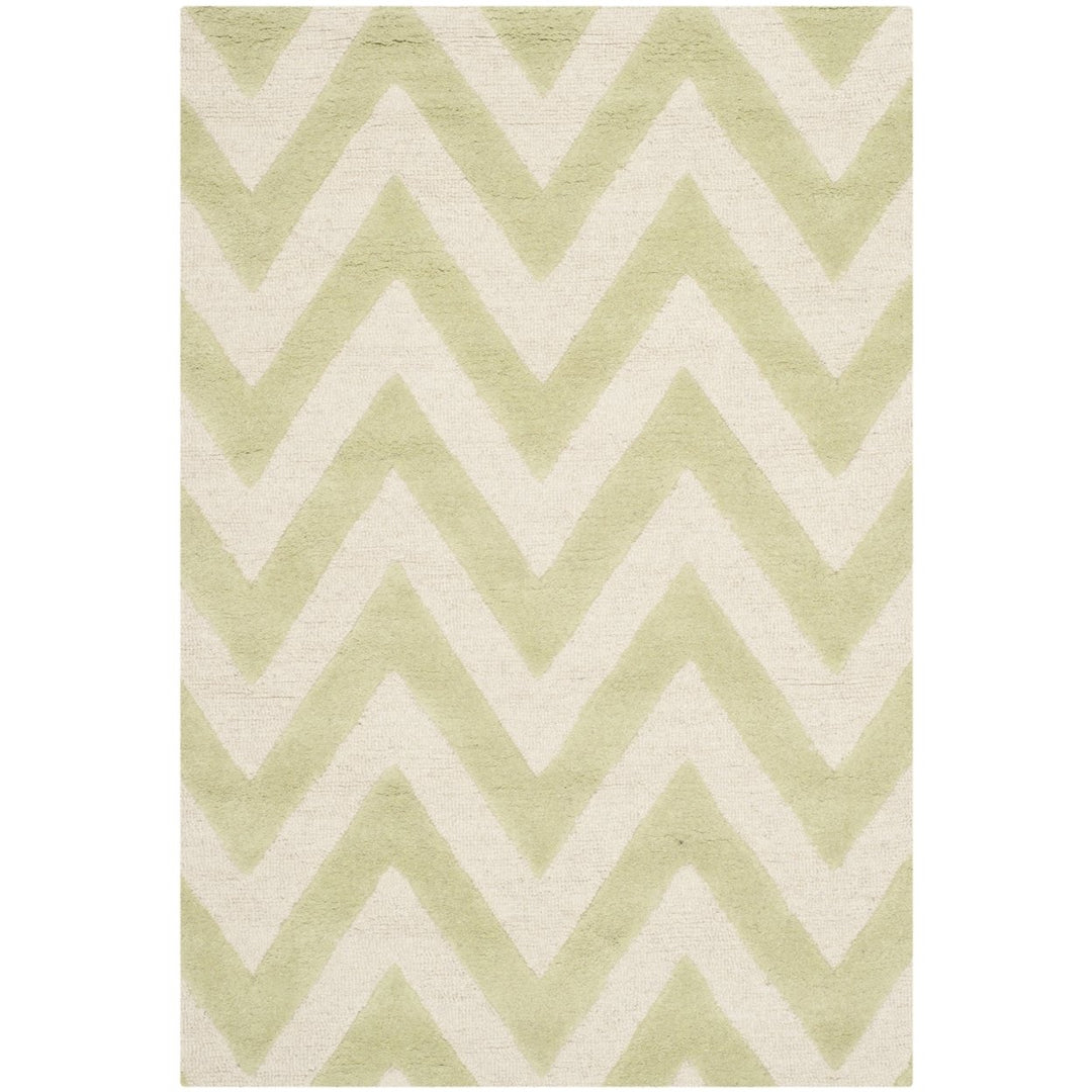 SAFAVIEH CAM139B Cambridge Light Green / Ivory Image 5