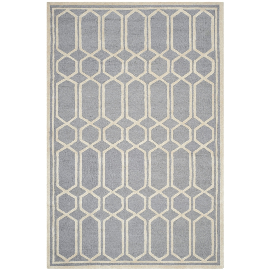 SAFAVIEH Cambridge CAM138D Handmade Silver /Ivory Rug Image 10