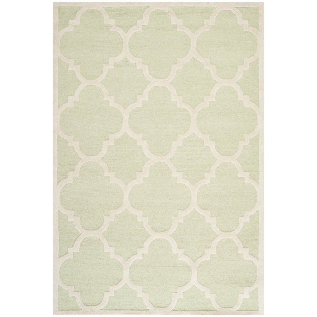 SAFAVIEH Cambridge CAM140B Light Green / Ivory Rug Image 7