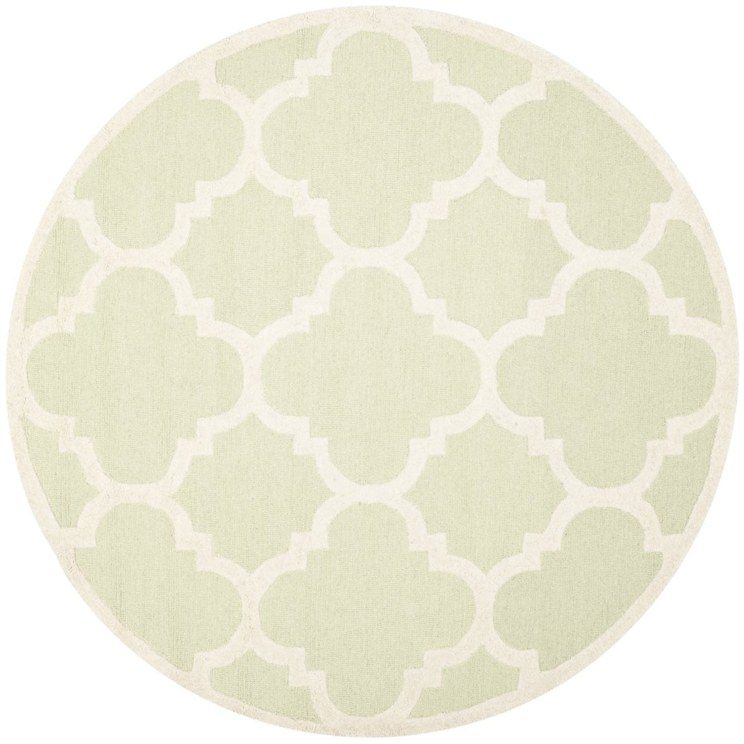 SAFAVIEH Cambridge CAM140B Light Green / Ivory Rug Image 8