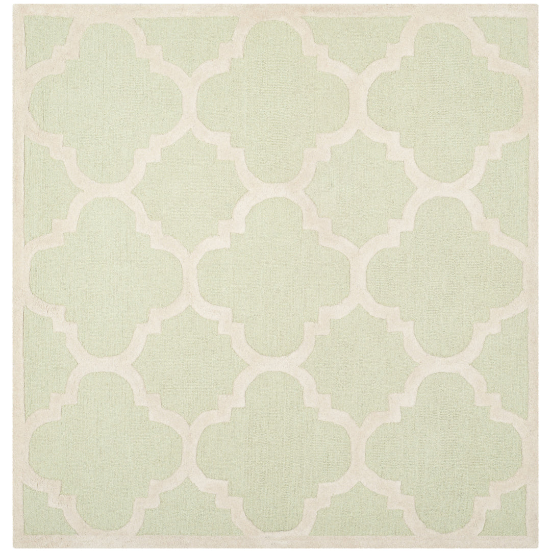 SAFAVIEH Cambridge CAM140B Light Green / Ivory Rug Image 9